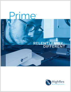 Prime Brochure thumbnail
